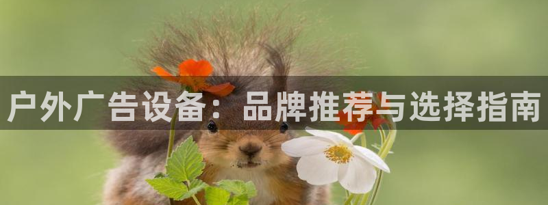 杏宇平台开户：户外广告设备：品牌推荐与选择指南