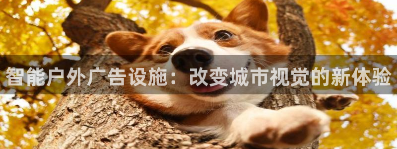 杏宇平台总代理是谁：智能户外广告设施：改