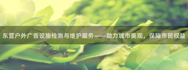 杏宇平台测速链接：东营户外广告设施检测与