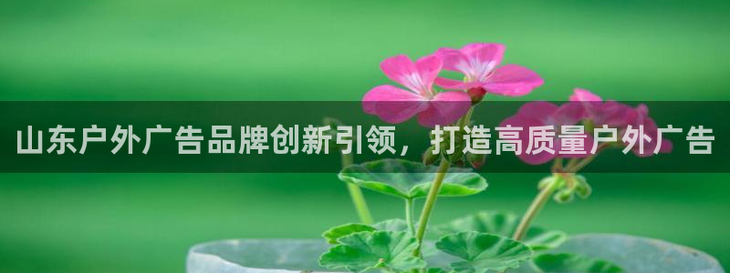 杏宇平台总代理是谁：山东户外广告品牌创新引领，打造高质量户外广告