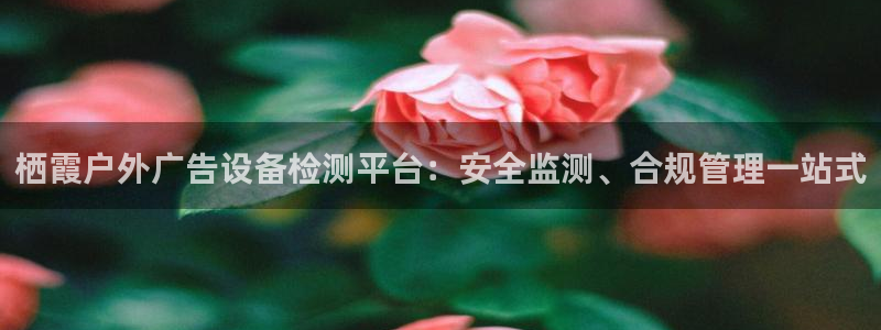 杏宇平台是什么：栖霞户外广告设备检测平台：安全监测、合规管理一站式