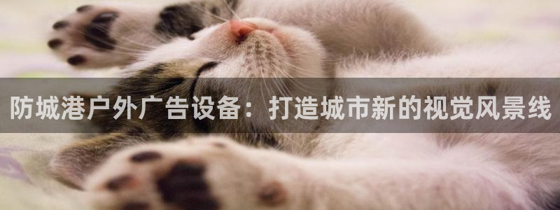 杏宇平台是什么：防城港户外广告设备：打造
