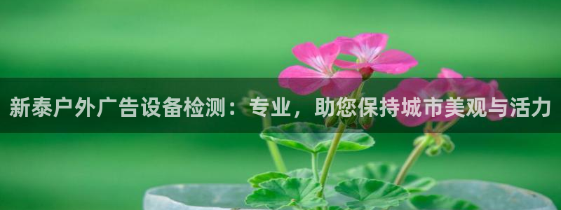 杏宇代理注册：新泰户外广告设备检测：专业，助您保持城市美观与活力