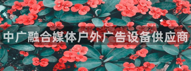杏宇官方平台官网