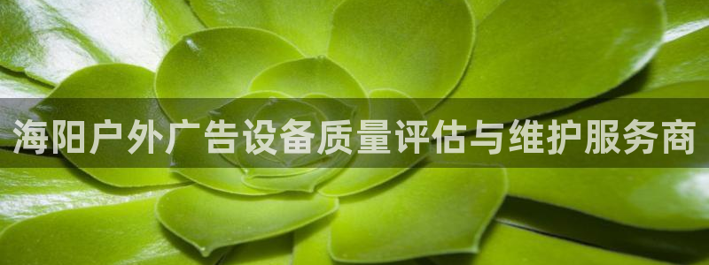 杏宇平台提现为什么这么久呢：海阳户外广告