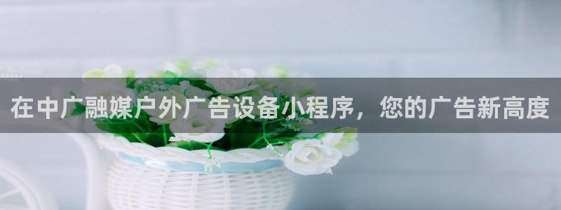 杏宇平台招商怎么样