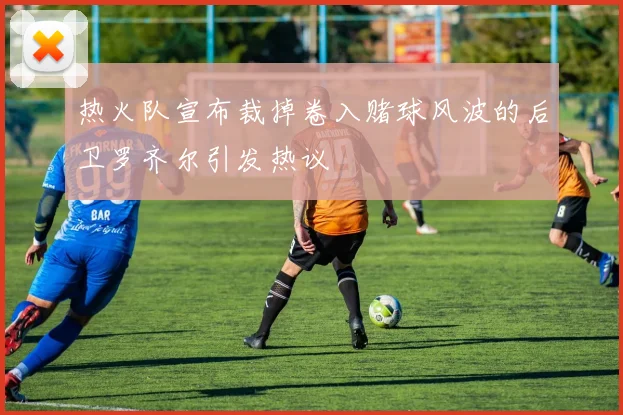 热火队宣布裁掉卷入赌球风波的后卫罗齐尔引发热议